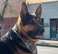 Jax